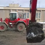 MP