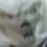 KB