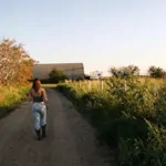 BD