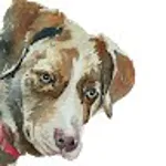 AL