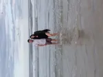 RD