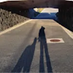 SS