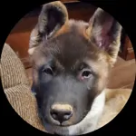 JR