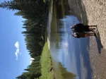 GR