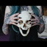 ZM