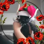 AL