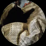 ML