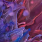 ML