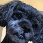 ES