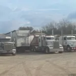 MP