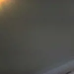 DS