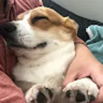 雨牛