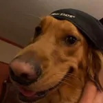 SS