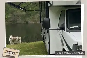 Traveler Forest River Sun seeker 2350LE Class C