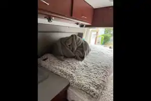 Stella the Wander Van