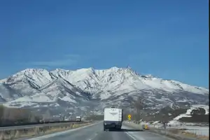 The Bugnone's Getaway