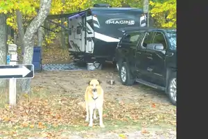 Chevy