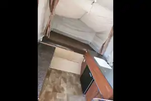Bear'ly a Trailer