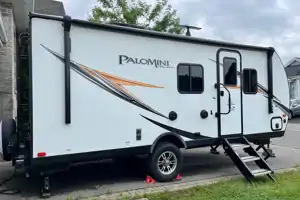 Dom's palomini