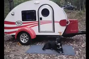 #1 Rated Lil Red T@G Micro Trailer