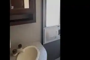 Destiny's Bullet on Wheels