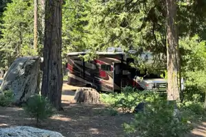 The Frank Braun Family Road Tripper