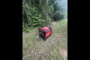 Brand New Palomino Puma 2025 