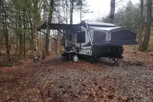 cory's Palomino solaire 163x Hybrid