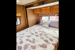 Comfy & Clean Coachmen Leprechaun
