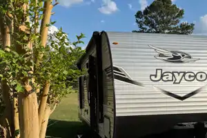 Jay bird