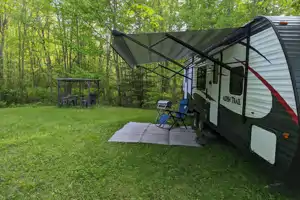 Se ressourcer en forêt