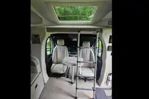 Road Shark