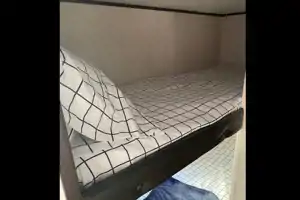 Jayco family trailer lightweight pet friendly 