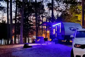 HOME AWAY FROM HOME! ANGEL’S GRAY WOLF