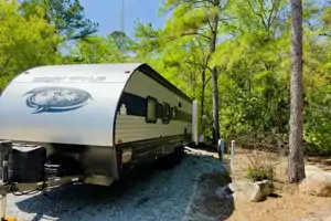 HOME AWAY FROM HOME! ANGEL’S GRAY WOLF