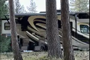The Wilson Wagon