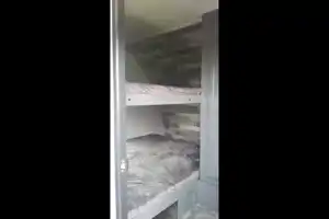 Volante