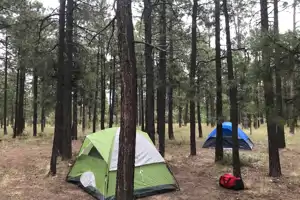 2024 Springdale light weight 6 sleeper trailer