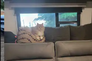 Perfect couples or small family trailer.