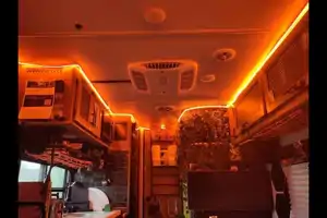 Lux Cyber Retreat - Forest River Woldpup Travel Trailer