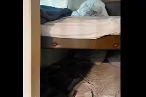 Thomas 's Keystone Summerland Travel Trailer