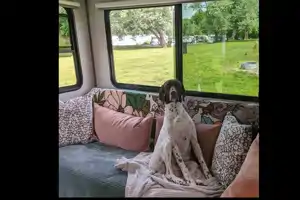 Cozy Camper