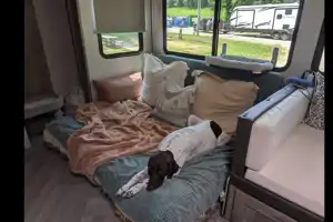 Cozy Camper