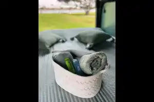 Luxury Sprinter w/ Shower, toilet, Kitchen