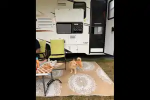 The Scramper