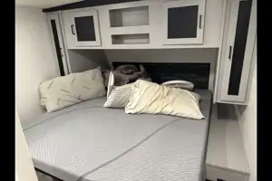 WanderWhip