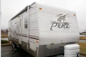 Palomino - Puma