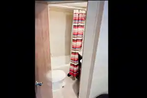 Dustin's Coleman Lantern  Travel Trailer