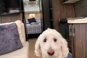 Airstream International Serenity 27FB