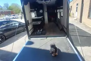 Toy hauler